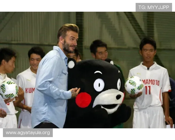 凯发集团官网首页：用户体验优化措施与界面设计的最新改进动态