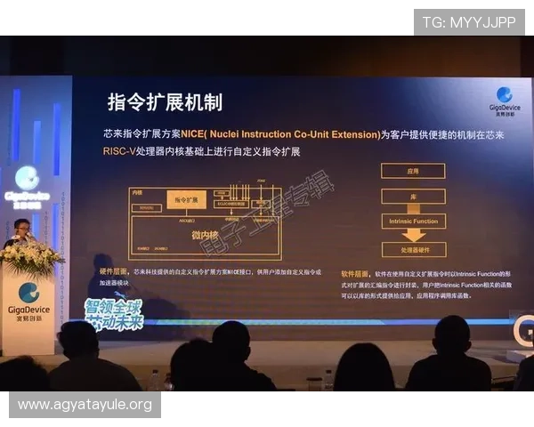 GD视讯游戏平台的公平性与透明度分析，保障每位玩家的权益与利益